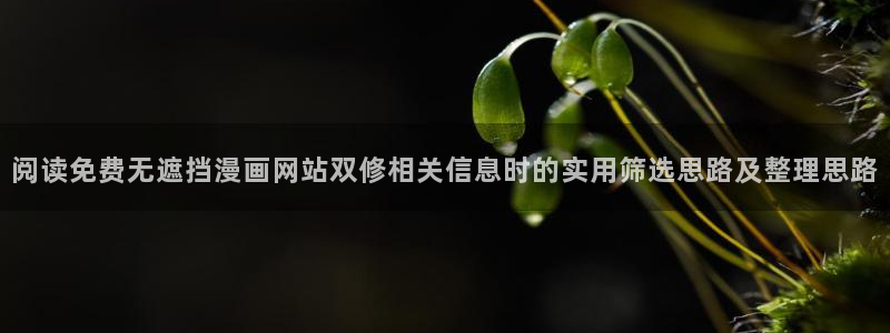 漫蛙漫画人气排行榜