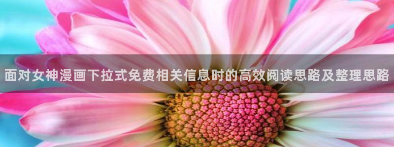 漫蛙漫画在线阅读入口